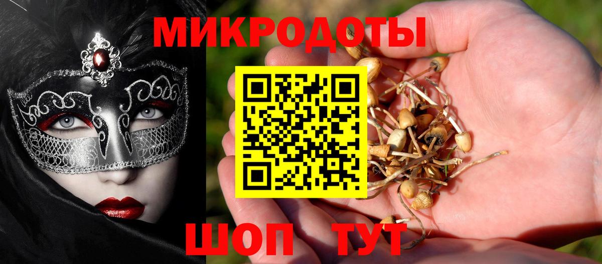 Волжский  Псилоцибиновые грибы Psilocybe  Вход с VPN  Псилоцибиновые грибы мухоморы 